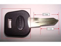 Chiave matrice/vergine GIANT per e-bike