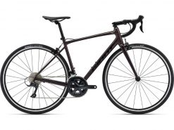 GIANT CONTEND 1