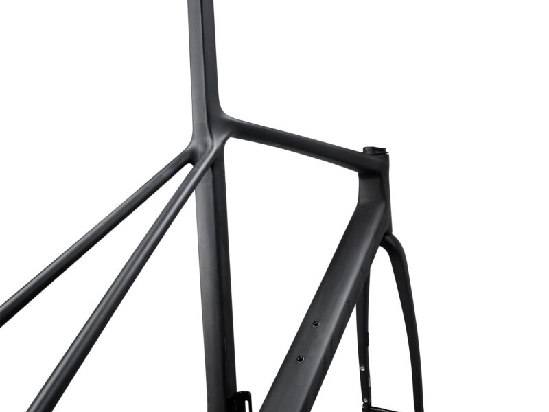 Telaio GIANT TCR Advanced SL - immagine 3