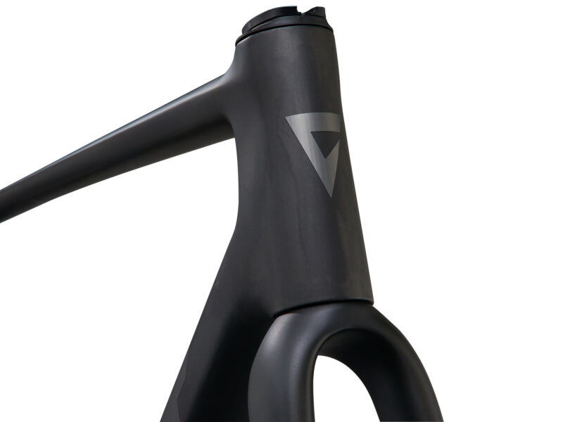 Telaio GIANT TCR Advanced SL - immagine 6